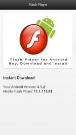 Adobe Flash Player