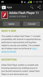 Adobe Flash Player